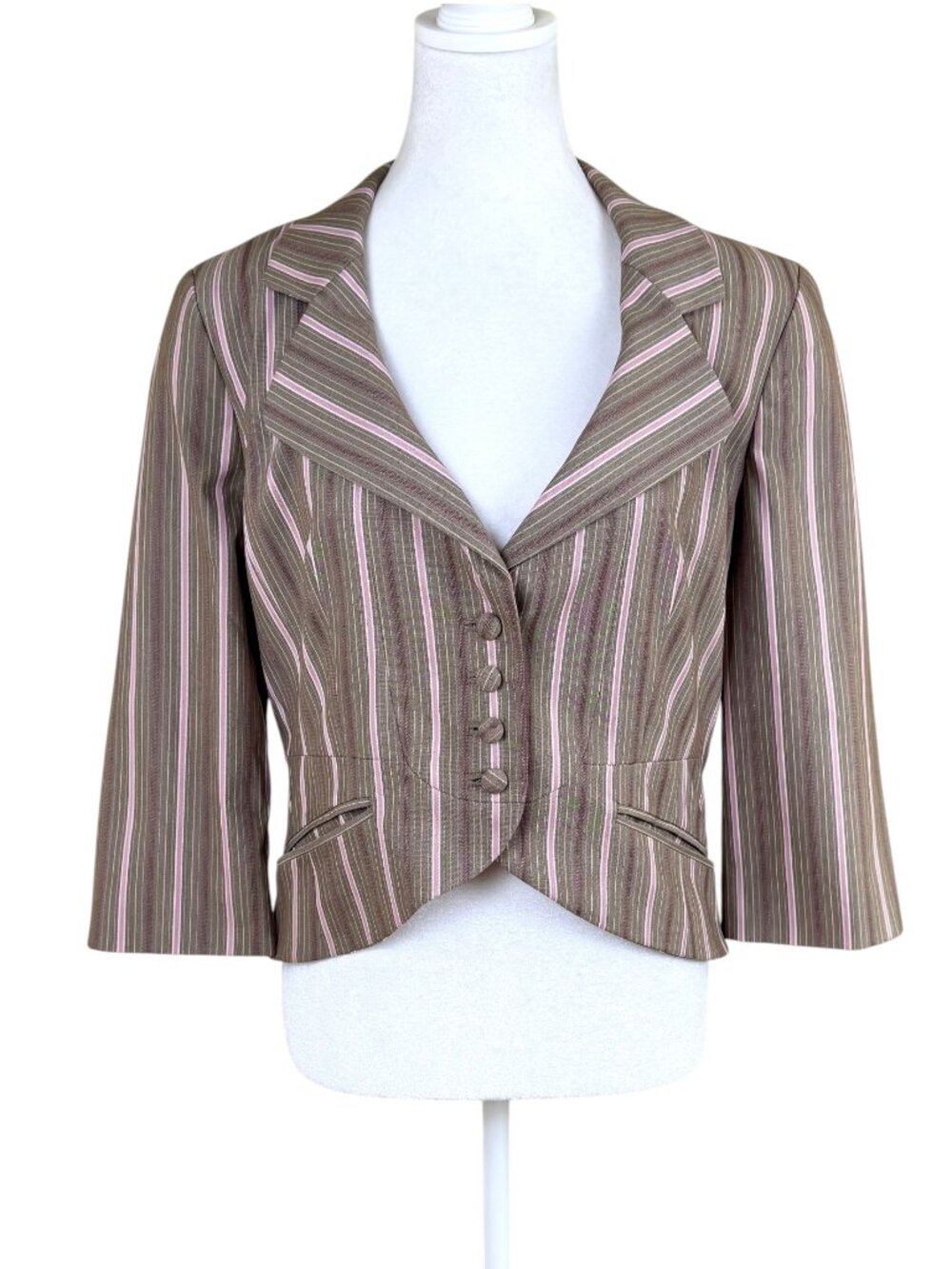 Allen Schwartz Blazer Vintage Brown Pink Striped Cropped Textured Fitted (6)